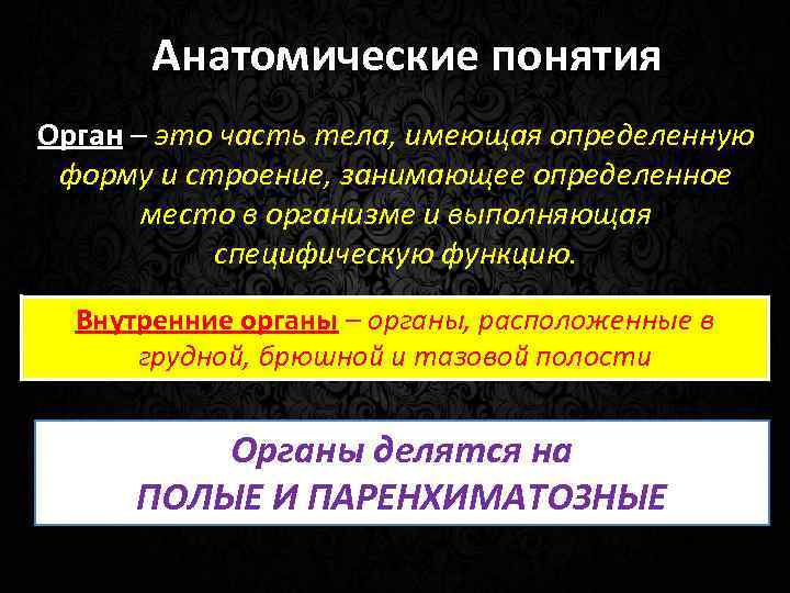 Анатомические понятия Орган – это часть тела, имеющая определенную форму и строение, занимающее определенное