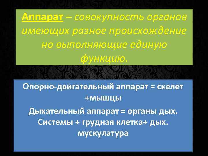 Аппарат – совокупность органов имеющих разное происхождение но выполняющие единую функцию. Опорно-двигательный аппарат =