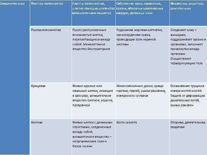 Соединительная Плотная волокнистая Группы волокнистых, Собственно кожа, сухожилия, плотно лежащих клеток без связки, оболочки