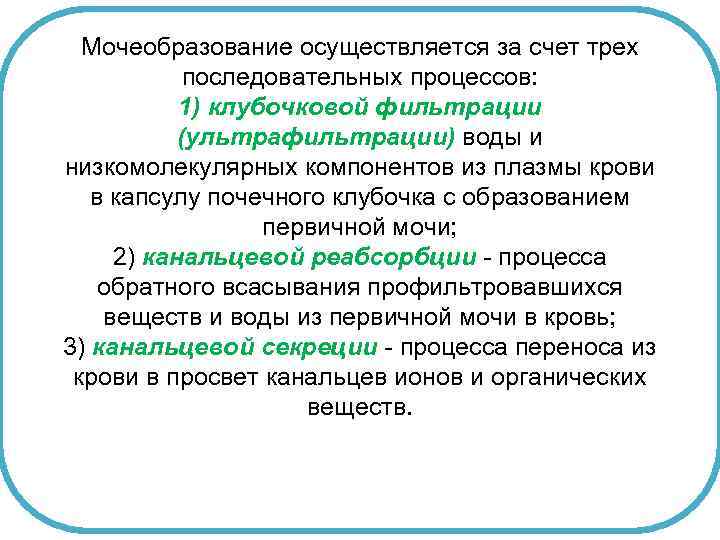 Мочеобразование осуществляется за счет трех последовательных процессов: 1) клубочковой фильтрации (ультрафильтрации) воды и низкомолекулярных