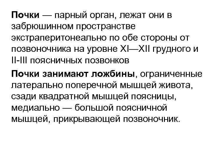 Почки — парный орган, лежат они в забрюшинном пространстве экстраперитонеально по обе стороны от