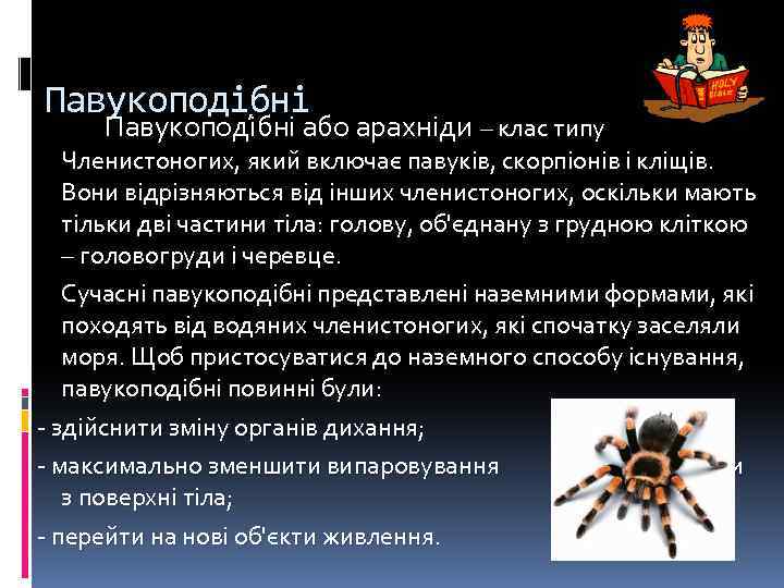 Павукоподібні Павукоподі бні або арахніди – клас типу Членистоногих, який включає павуків, скорпіонів і