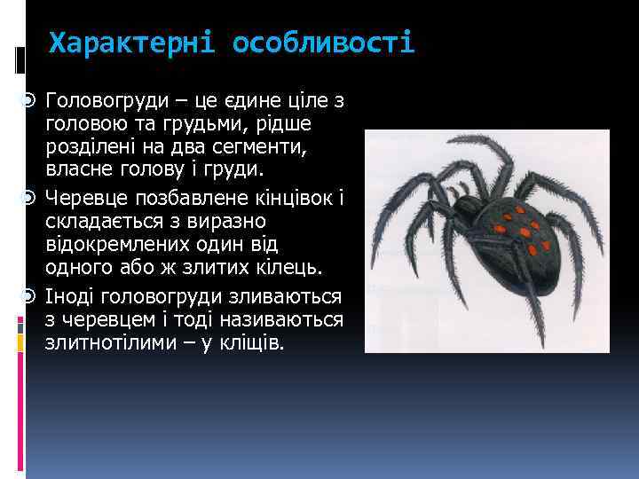 Характерні особливості Головогруди – це єдине ціле з головою та грудьми, рідше розділені на