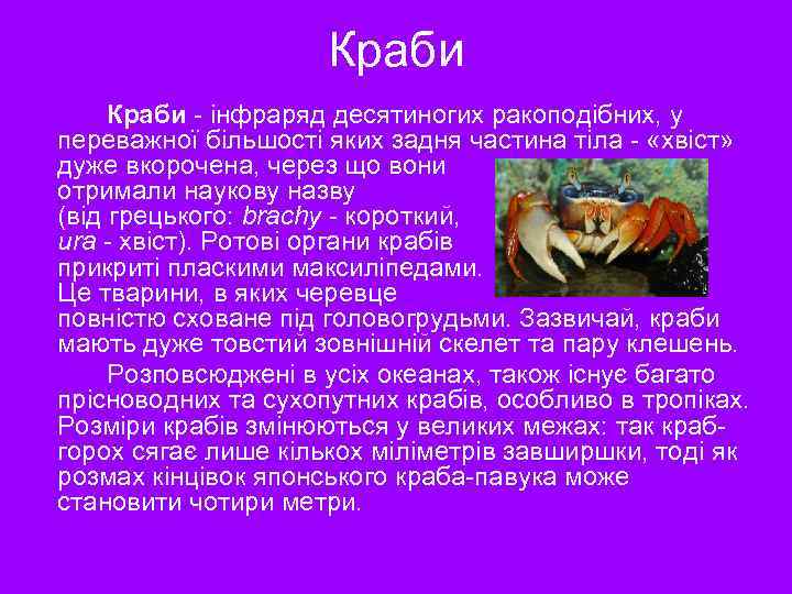 Краби - інфраряд десятиногих ракоподібних, у переважної більшості яких задня частина тіла - «хвіст»