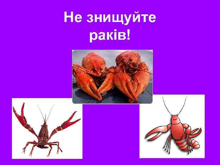 Не знищуйте раків! 