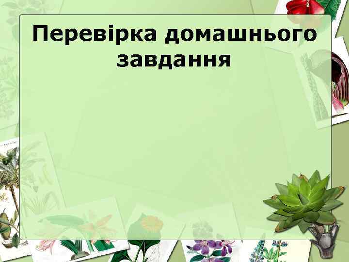 Перевірка домашнього завдання 