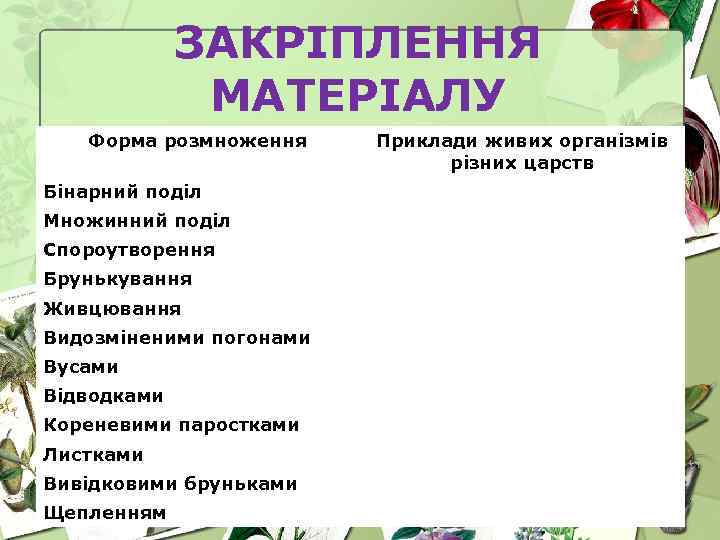 ЗАКРІПЛЕННЯ МАТЕРІАЛУ Форма розмноження Бінарний поділ Множинний поділ Спороутворення Брунькування Живцювання Видозміненими погонами Вусами
