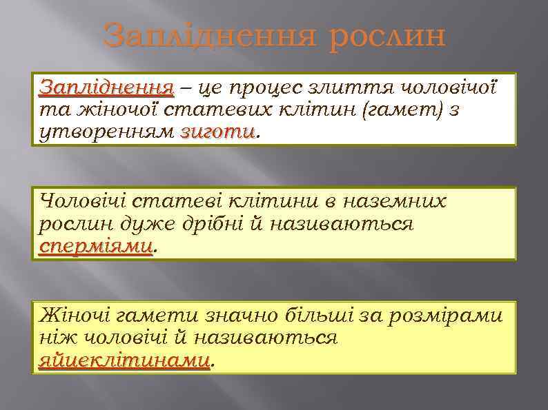 Запліднення рослин Запліднення – це процес злиття чоловічої та жіночої статевих клітин (гамет) з