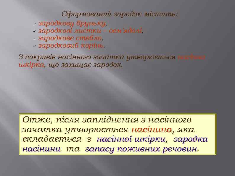 ü ü Сформований зародок містить: зародкову бруньку, зародкові листки – сем'ядолі, зародкове стебло, зародковий