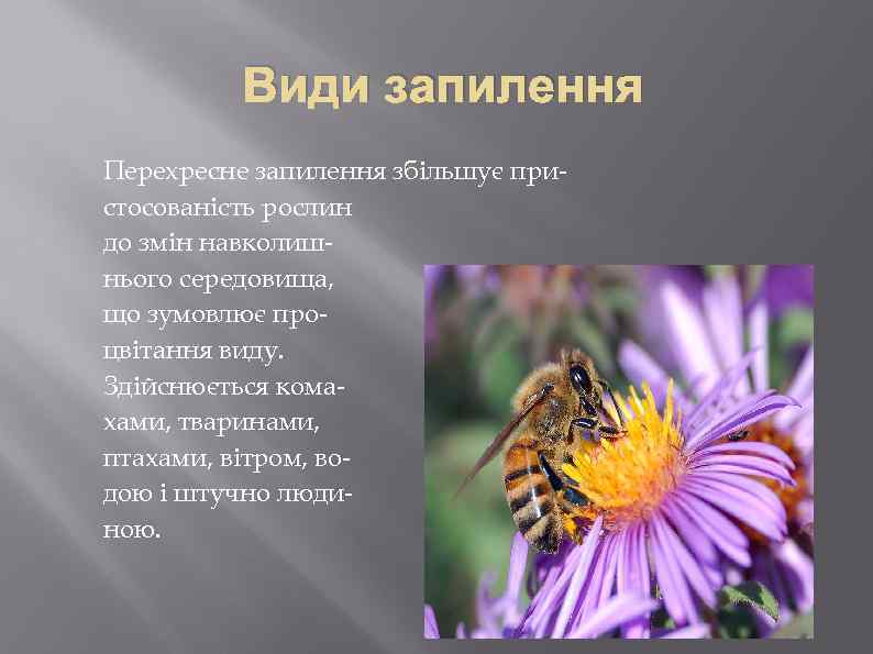 Види запилення Перехресне запилення збільшує пристосованість рослин до змін навколишнього середовища, що зумовлює процвітання