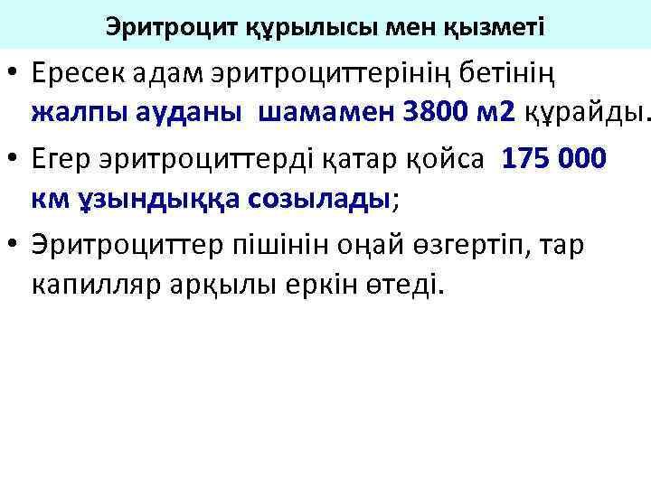 Эритроцит құрылысы мен қызметі • Ересек адам эритроциттерінің бетінің жалпы ауданы шамамен 3800 м