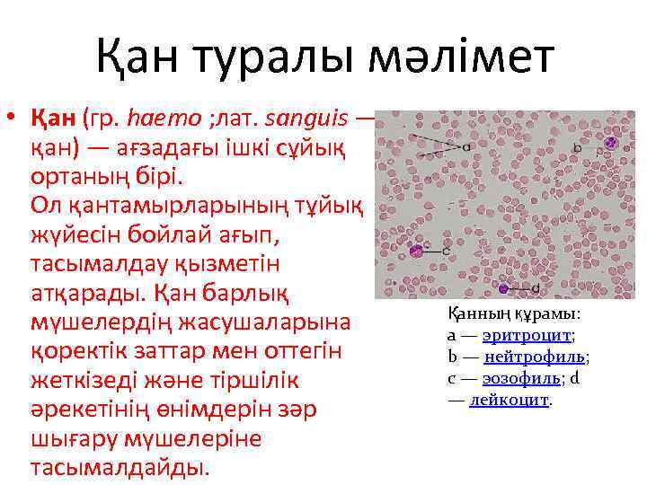 Қан туралы мәлімет • Қан (гр. haemo ; лат. sanguis — қан) — ағзадағы