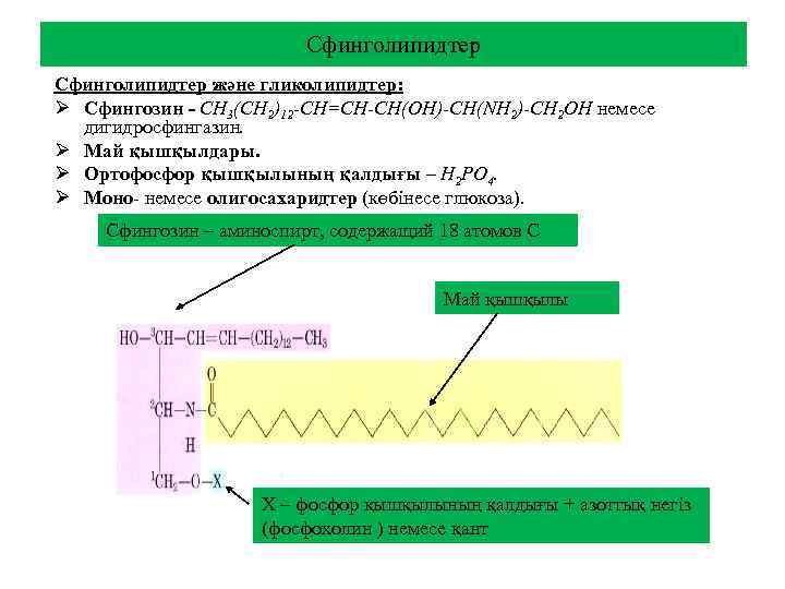 Сфинголипидтер және гликолипидтер: Ø Сфингозин - СН 3(СН 2)12 -СН=СН-СН(ОН)-СН(NН 2)-СН 2 ОН немесе