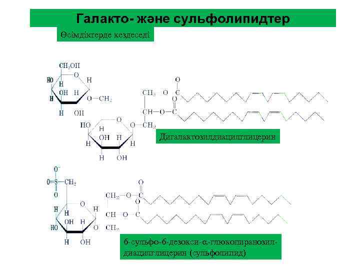 Галакто- және сульфолипидтер Өсімдіктерде кездеседі Дигалактозилдиацилглицерин 6 -сульфо-6 -дезокси- -глюкопиранозилдиацилглицерин (сульфолипид) 