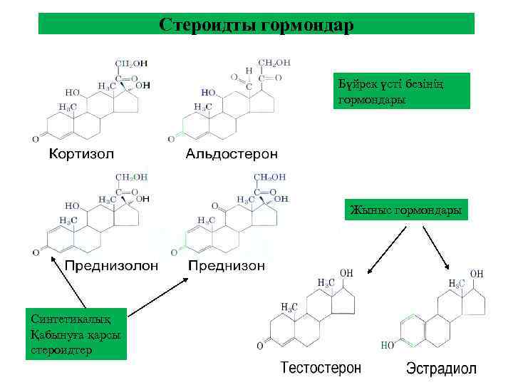 Стероидты гормондар Бүйрек үсті безінің гормондары Жыныс гормондары Синтетикалық Қабынуға қарсы стероидтер 