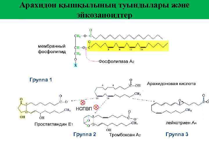 Арахидон қышқылының туындылары және эйкозаноидтер Группа 1 Группа 2 Группа 3 