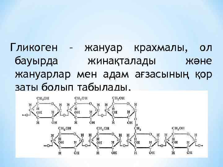 Гликоген – жануар крахмалы, ол бауырда жинақталады және жануарлар мен адам ағзасының қор заты