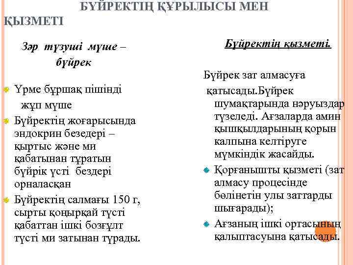 БҮЙРЕКТІҢ ҚҰРЫЛЫСЫ МЕН ҚЫЗМЕТІ Зәр түзуші мүше – бүйрек Үрме бұршақ пішінді жұп мүше