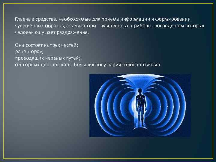 Главные средства, необходимые для приема информации и формировании чувственных образов, анализаторы - чувственные приборы,