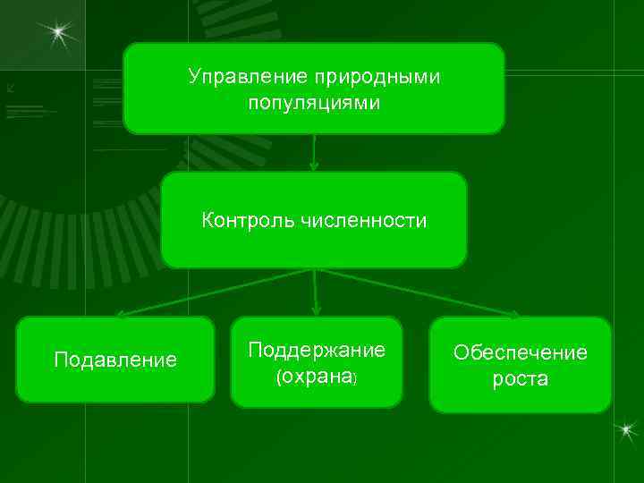 Управление природными популяциями Контроль численности Подавление Поддержание (охрана) Обеспечение роста 