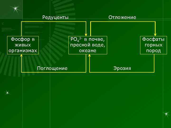 Редуценты Фосфор в живых организмах Отложение РО 43 - в почве, пресной воде, океане