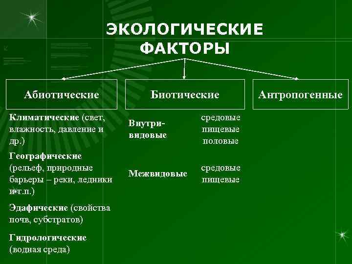 ЭКОЛОГИЧЕСКИЕ ФАКТОРЫ Абиотические Биотические Климатические (свет, влажность, давление и др. ) Внутривидовые средовые пищевые