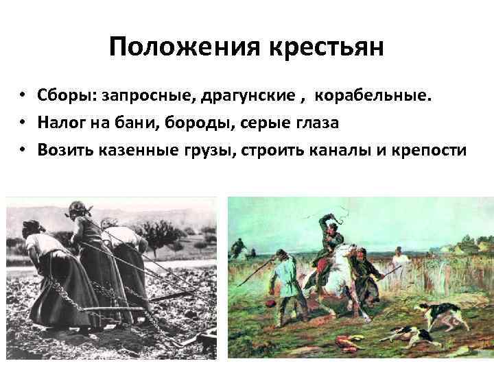 Положения крестьян • Сборы: запросные, драгунские , корабельные. • Налог на бани, бороды, серые