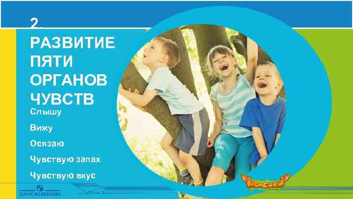 2. РАЗВИТИЕ ПЯТИ ОРГАНОВ ЧУВСТВ Слышу Вижу Осязаю Чувствую запах Чувствую вкус 