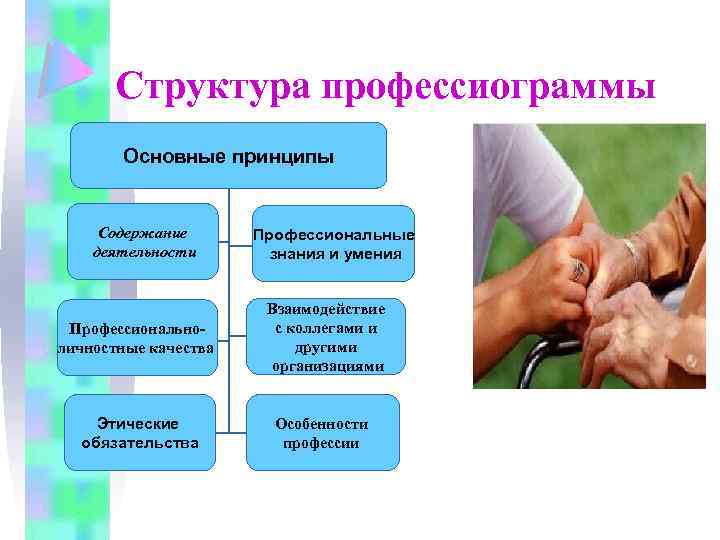 Структура профессиограммы Основные принципы Содержание деятельности Профессиональные знания и умения Профессиональноличностные качества Взаимодействие с