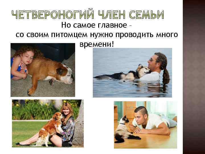 Но самое главное – со своим питомцем нужно проводить много времени! 