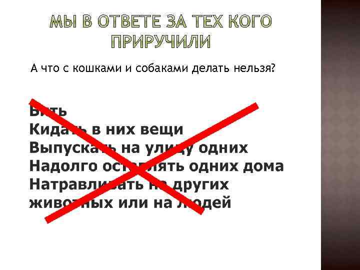 А что с кошками и собаками делать нельзя? 