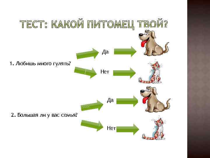Да 1. Любишь много гулять? Нет Да 2. Большая ли у вас семья? Нет