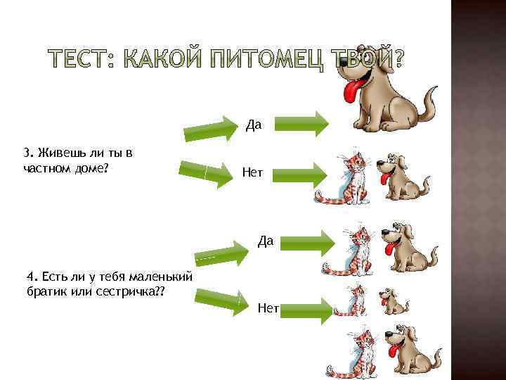 Да 3. Живешь ли ты в частном доме? Нет Да 4. Есть ли у