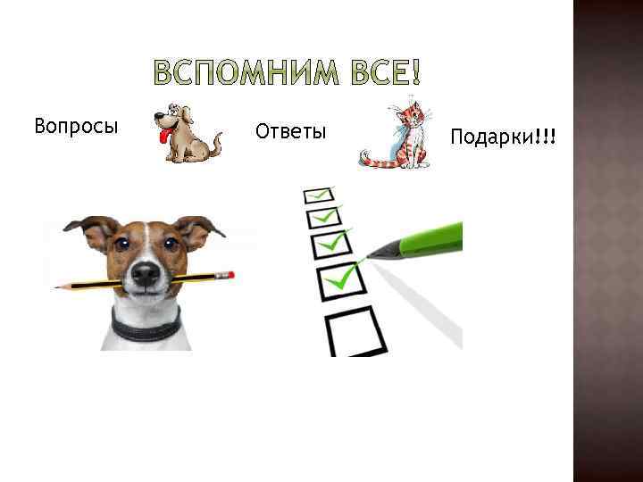 Вопросы Ответы Подарки!!! 