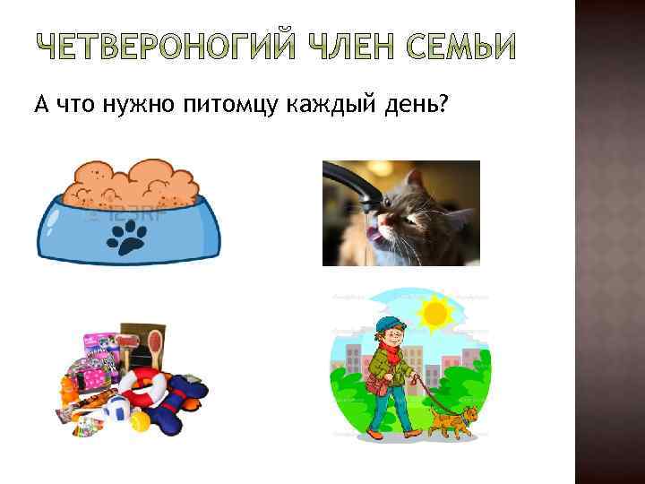 А что нужно питомцу каждый день? 