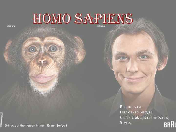 HOMO SAPIENS Выполнила: Пилютите Бируте Связи с общественностью, 5 курс 