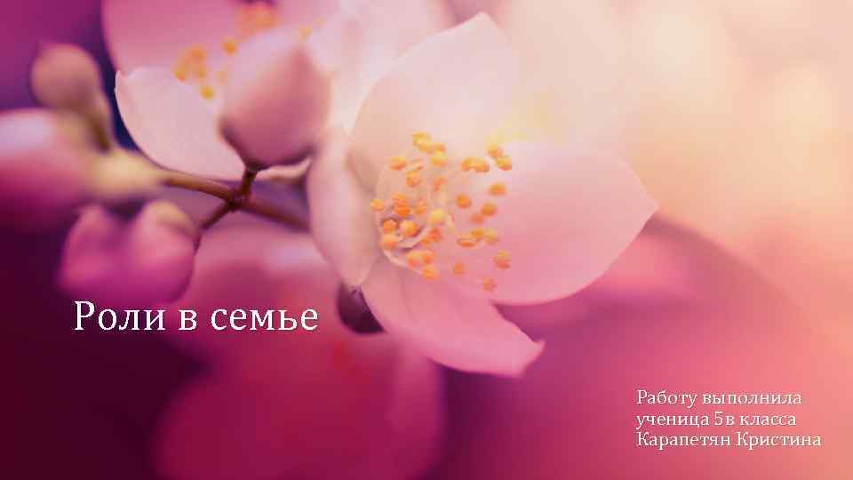 Роли в семье Работу выполнила ученица 5 в класса Карапетян Кристина 