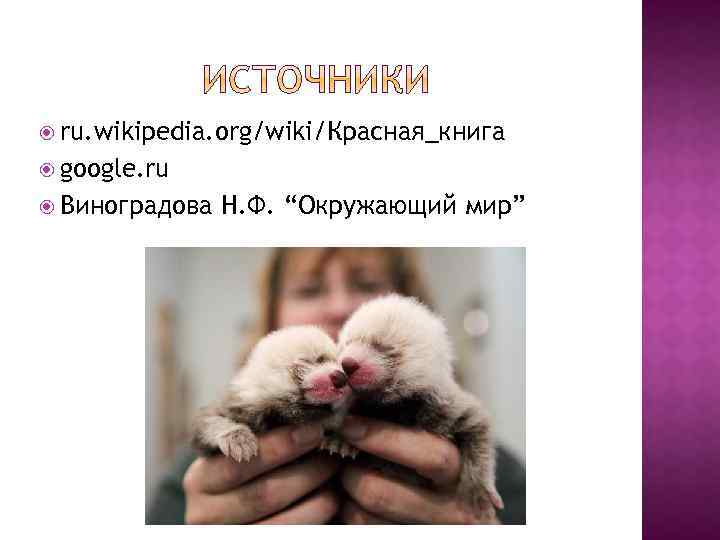  ru. wikipedia. org/wiki/Красная_книга google. ru Виноградова Н. Ф. “Окружающий мир” 