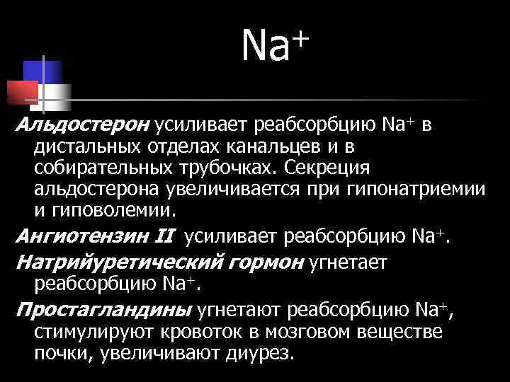 + Na Альдостерон усиливает реабсорбцию Na+ в дистальных отделах канальцев и в собирательных трубочках.