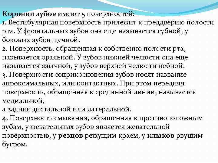 Коронки зубов имеют 5 поверхностей: 1. Вестибулярная поверхность прилежит к преддверию полости рта. У