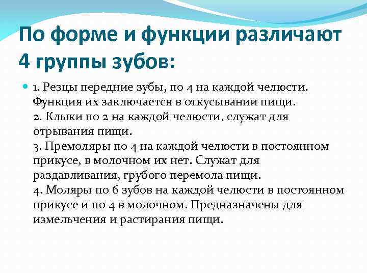 По форме и функции различают 4 группы зубов: 1. Резцы передние зубы, по 4