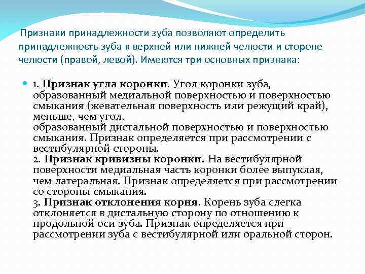 Признаки принадлежности зуба позволяют определить принадлежность зуба к верхней или нижней челюсти и стороне