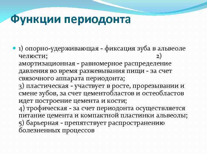 Функции периодонта 1) опорно удерживающая фиксация зуба в альвеоле челюсти; 2) амортизационная равномерное распределение