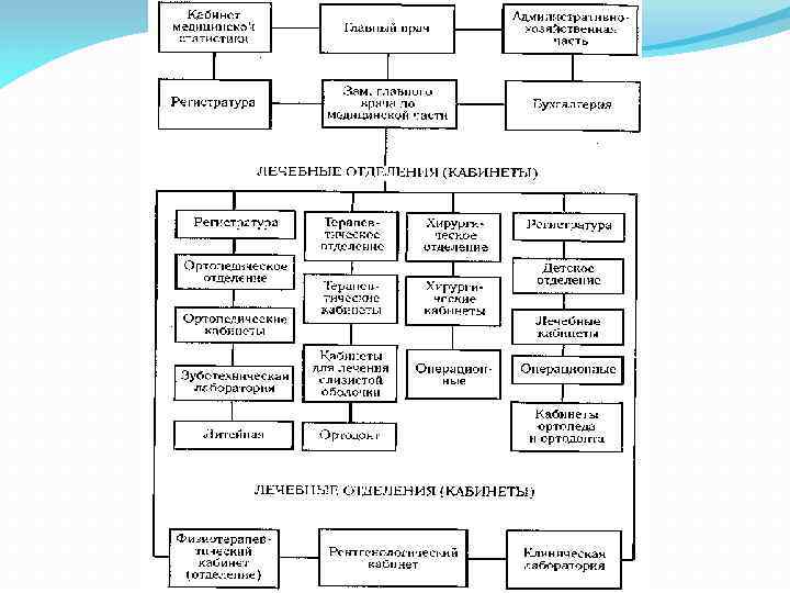 Структура стоматологической поликлиники схема