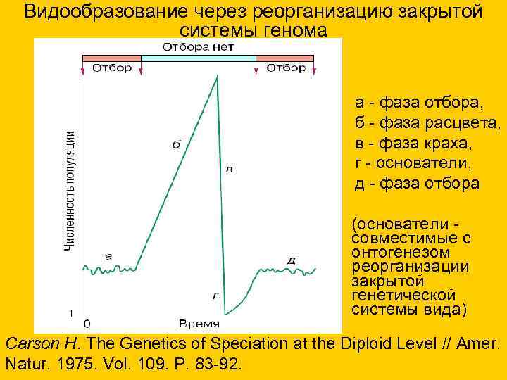 Видообразование через реорганизацию закрытой системы генома а - фаза отбора, б - фаза расцвета,
