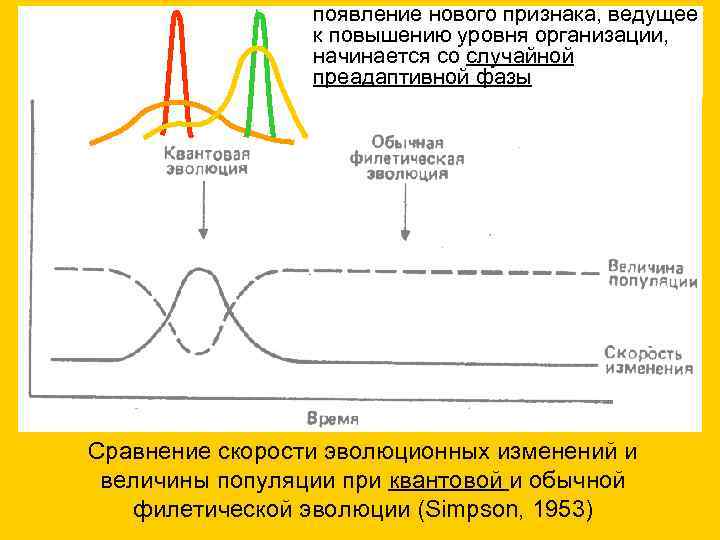появление нового признака, ведущее к повышению уровня организации, начинается со случайной преадаптивной фазы Сравнение