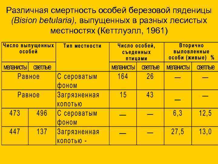 Различная смертность особей березовой пяденицы (Bision betularia), выпущенных в разных лесистых местностях (Кеттлуэлл, 1961)