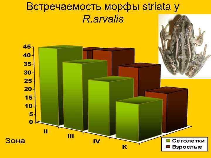 Встречаемость морфы striata у R. arvalis 