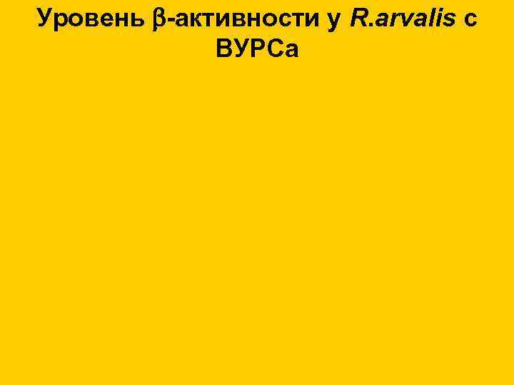 Уровень -активности у R. arvalis c ВУРСа 