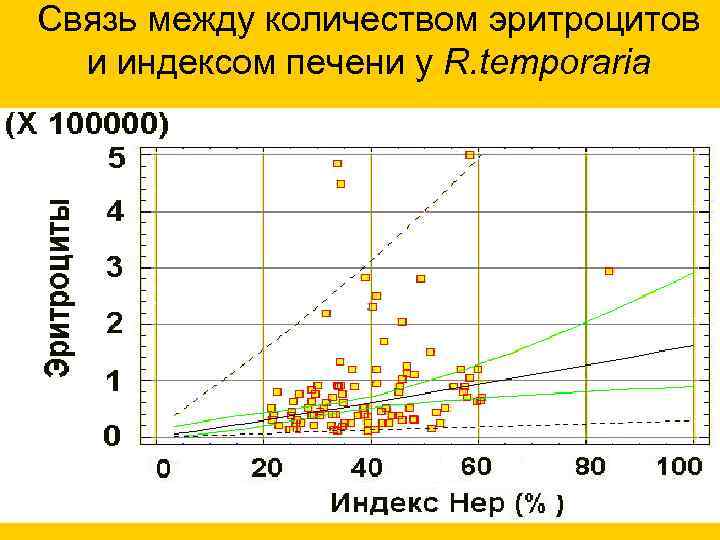 Связь между количеством эритроцитов и индексом печени у R. temporaria 